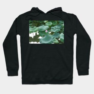 Lotus in Shinjuku Gyoen National Garden Hoodie